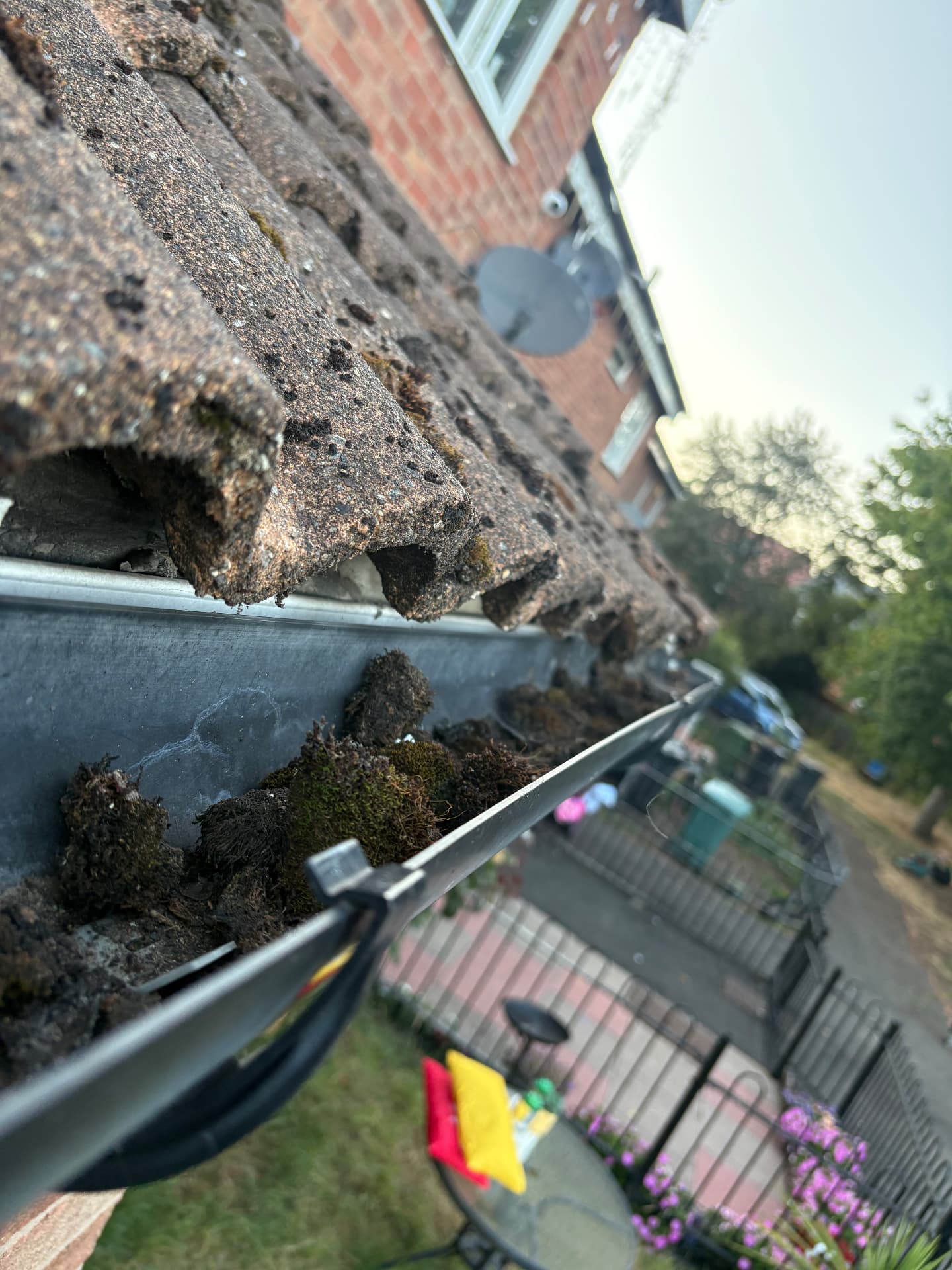 Blocked gutter full of moss before vacuum clearing